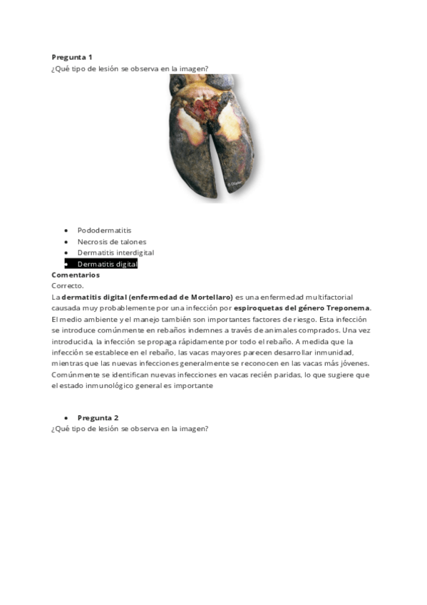 Miniatura del documento TALLER-2-PODOLOGIA-Contenido-de-la-actividad.pdf