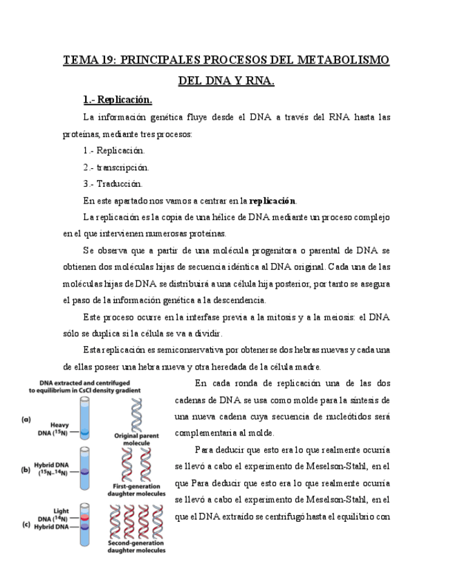 Miniatura del documento TEMA-19-Principales-procesos-del-metabolismo-del-DNA-y-RNA.pdf