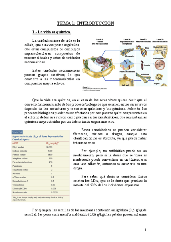 Miniatura del documento Tema-1.-Introduccion.pdf