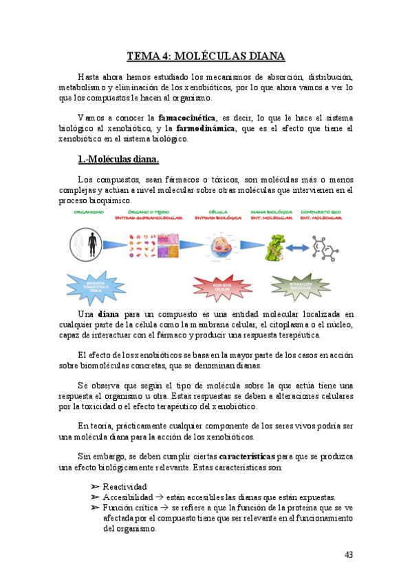 Miniatura del documento Tema-4.-Moleculas-diana.pdf