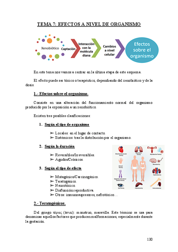 Miniatura del documento Tema-7.-Efectos-a-nivel-de-organismo.pdf