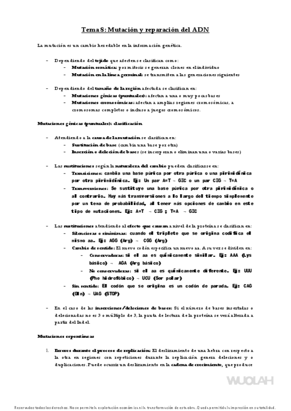 Miniatura del documento Tema-8-Genetica-Molecular-23-24.pdf