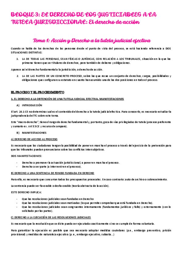 Miniatura del documento bloque-3-el-derecho-de-accion.pdf