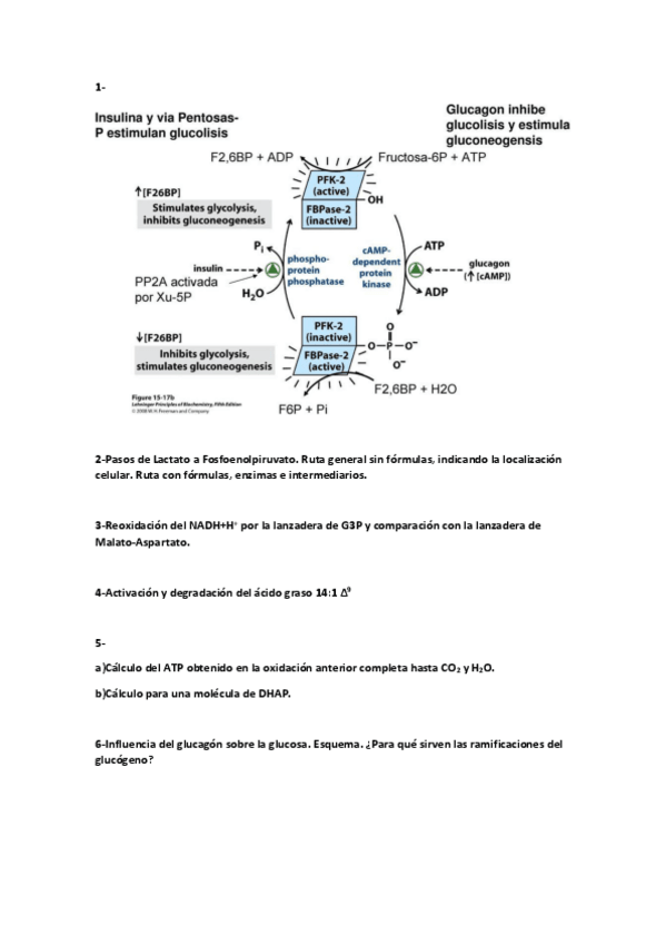 Miniatura del documento Examen Bioquímica Junio 2018.pdf