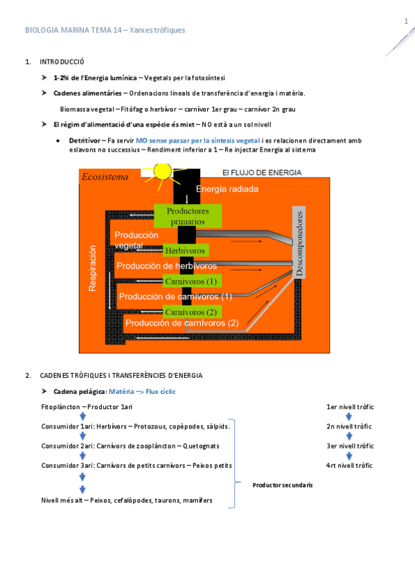Miniatura del documento T14Xarxestrofiques.pdf