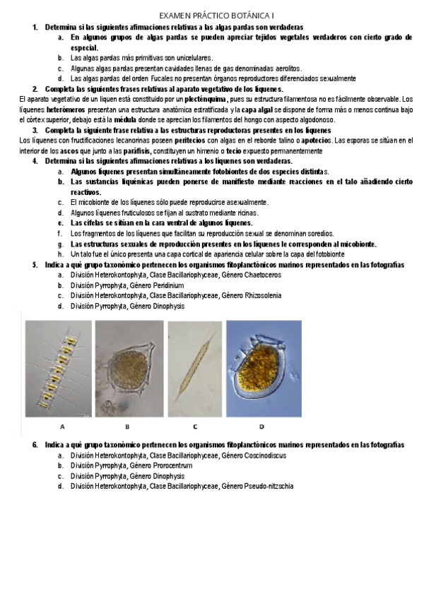 Miniatura del documento Recopilacion-examenes-practicos-botanica.pdf