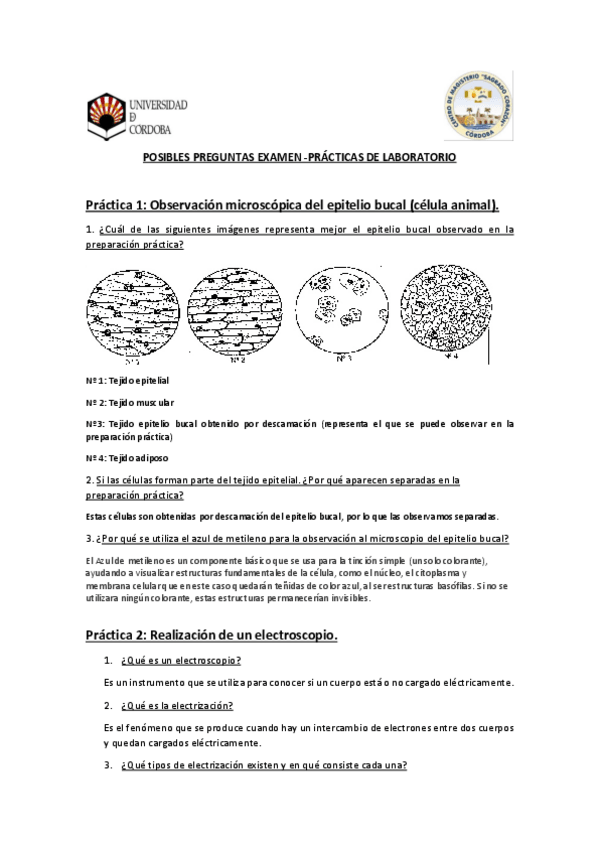 Miniatura del documento Preguntas practica laboratorio + respuestas.pdf