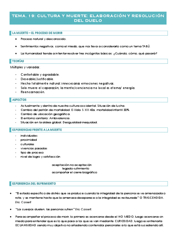 Miniatura del documento T.19-EL-DUELO.pdf