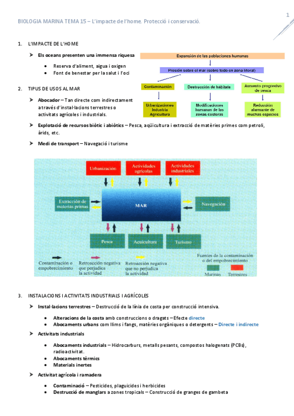 Miniatura del documento T15ImpacteAntropicProteccioConservacio.pdf
