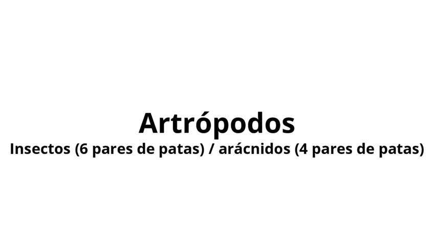 Miniatura del documento Artropodos.pdf