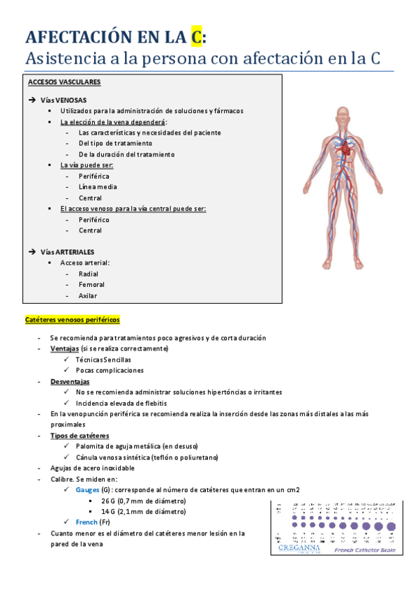 Miniatura del documento AFECTACION-EN-LA-C.pdf