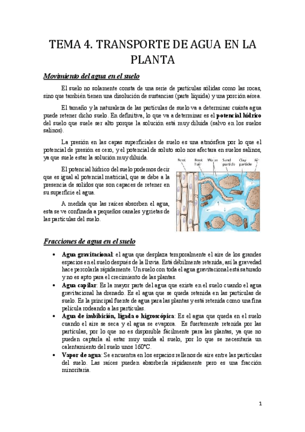 Miniatura del documento Tema 4.pdf