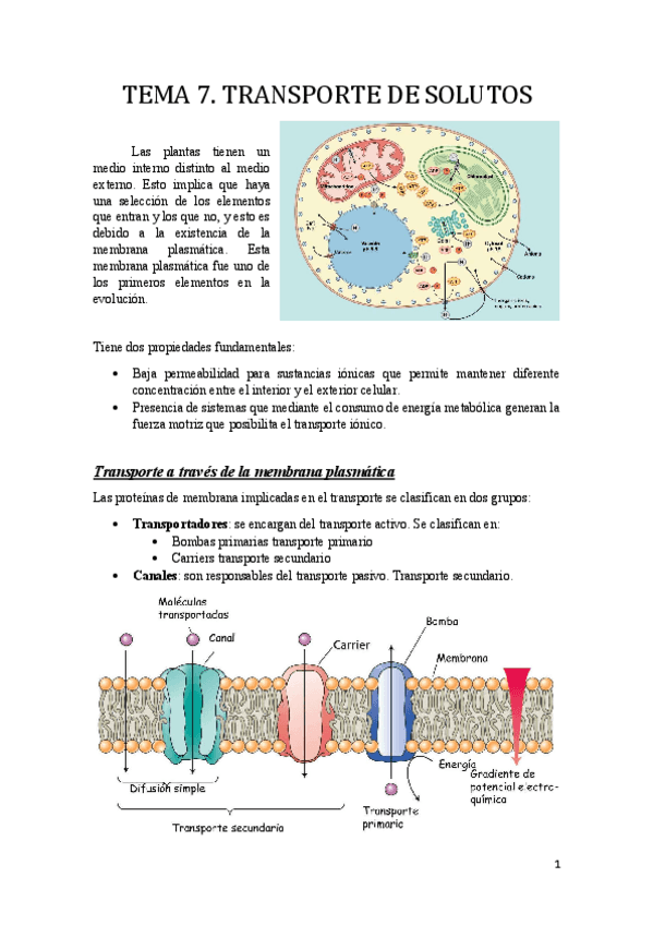Miniatura del documento Tema 7.pdf