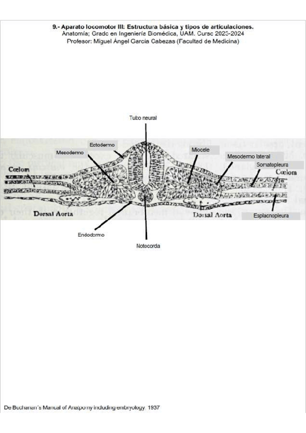 Miniatura del documento 02-CuadernoLocomotor-III-RESUELTO.pdf
