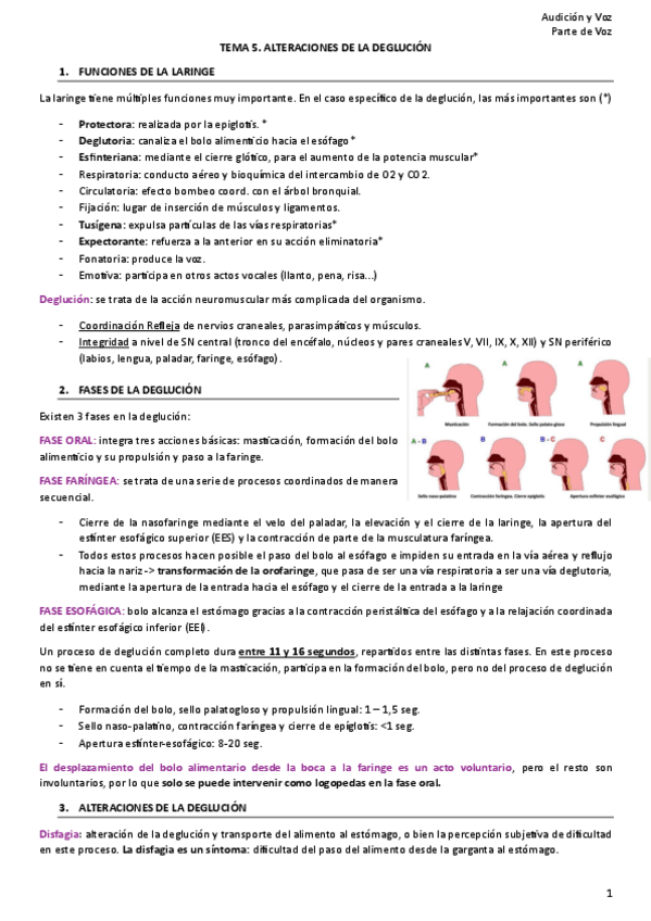 Miniatura del documento TEMA-5-Voz.pdf