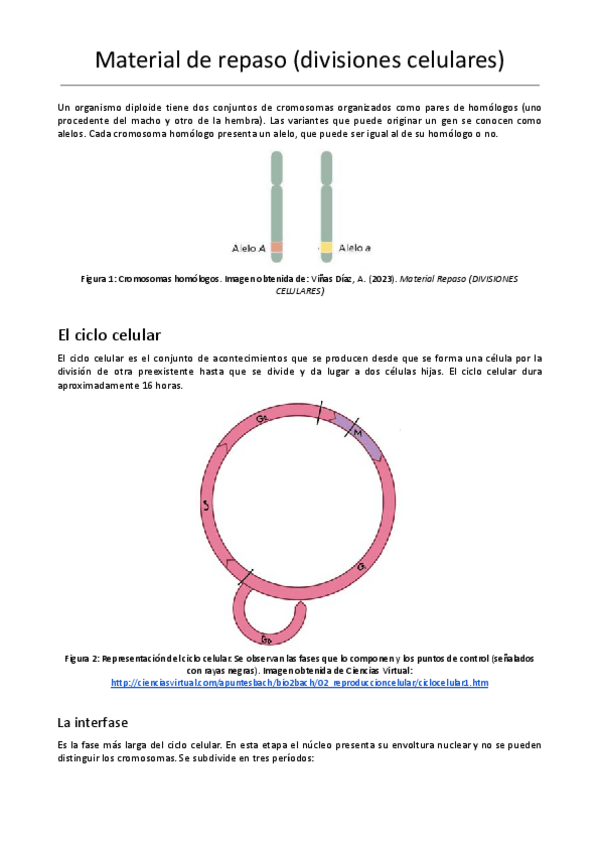 Miniatura del documento Material-de-repaso-Divisiones-celulares.pdf