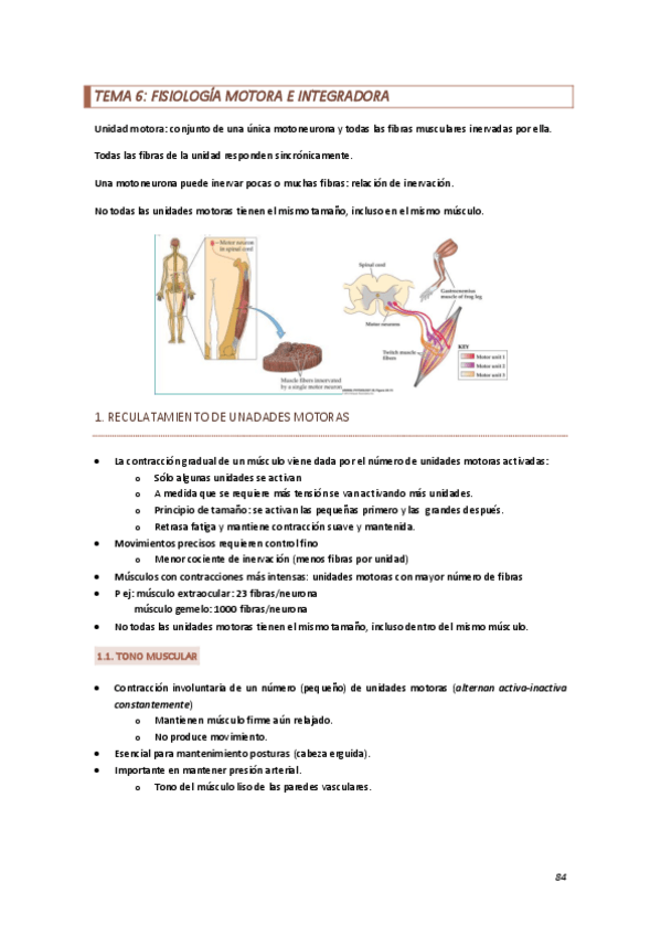 Miniatura del documento TEMA-6.pdf