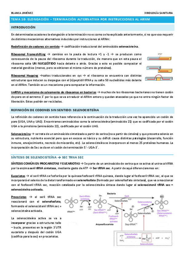 Miniatura del documento TEMA-10-ELONGACION-TERMINACION-ALTERNATIVA-POR-INSTRUCCIONES-AL-ARNM.pdf
