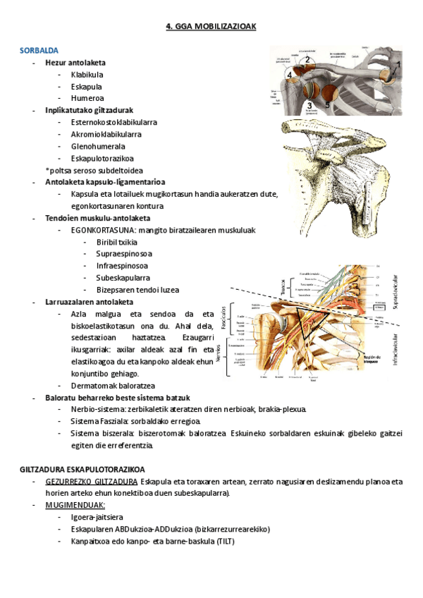Miniatura del documento 4.-GGA-mobilizazioak.pdf