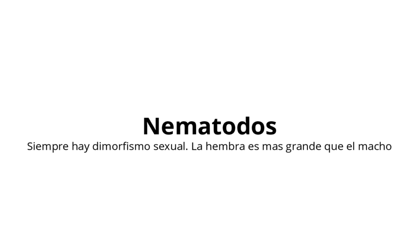 Miniatura del documento Nematodos.pdf