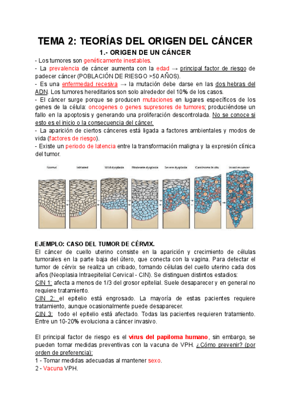 Miniatura del documento TEMA-2-TEORIAS-DEL-ORIGEN-DEL-CANCER.pdf