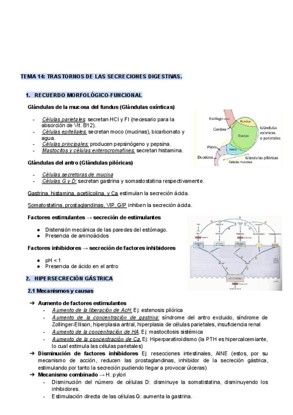 Miniatura del documento TEMA-14-FISOPATO.pdf