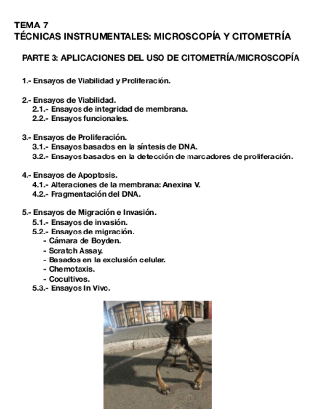 Miniatura del documento Tema-7.3-CULT.pdf