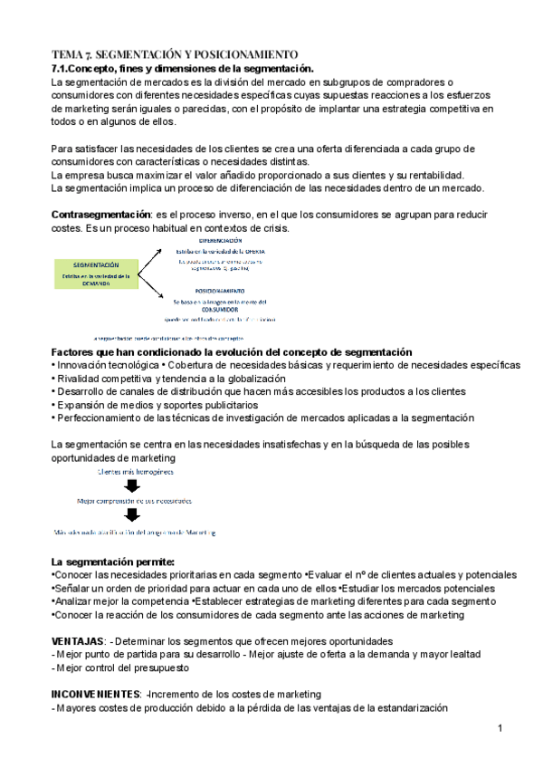 Miniatura del documento TEMA-7.-SEGMENTACION-Y-POSICIONAMIENTO.pdf