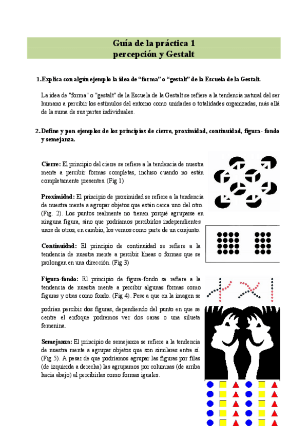 Miniatura del documento Apuntes-practicas-de-percepcion.pdf