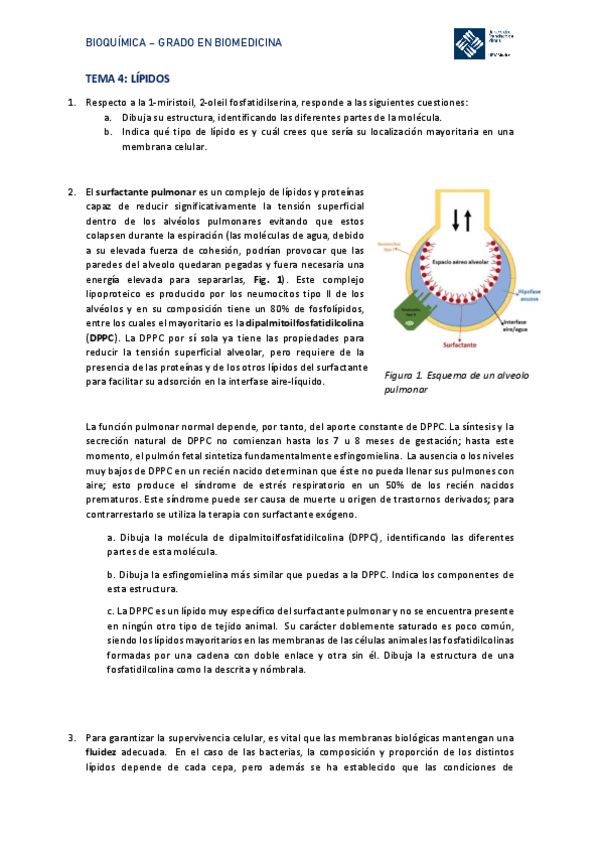 Miniatura del documento Ejercicios-tema-4-22-23.pdf