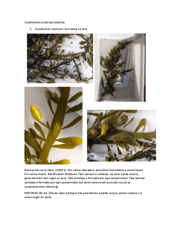 Miniatura del documento ejercicios-clave-2023.pdf