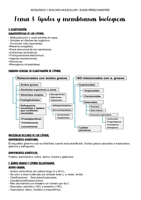 Miniatura del documento BQ-I.-TEMA-3..pdf