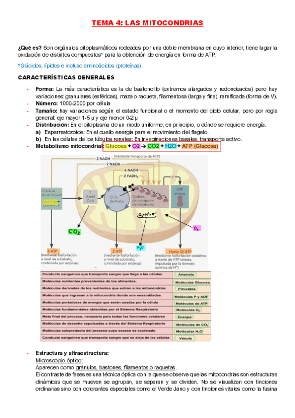 Miniatura del documento Tema-4-FUNDAMENTOS-DE-LA-BIOLOGIA.pdf