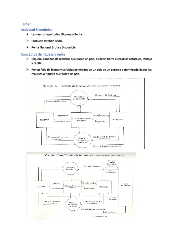 Miniatura del documento Apuntes-temas-1-2.pdf