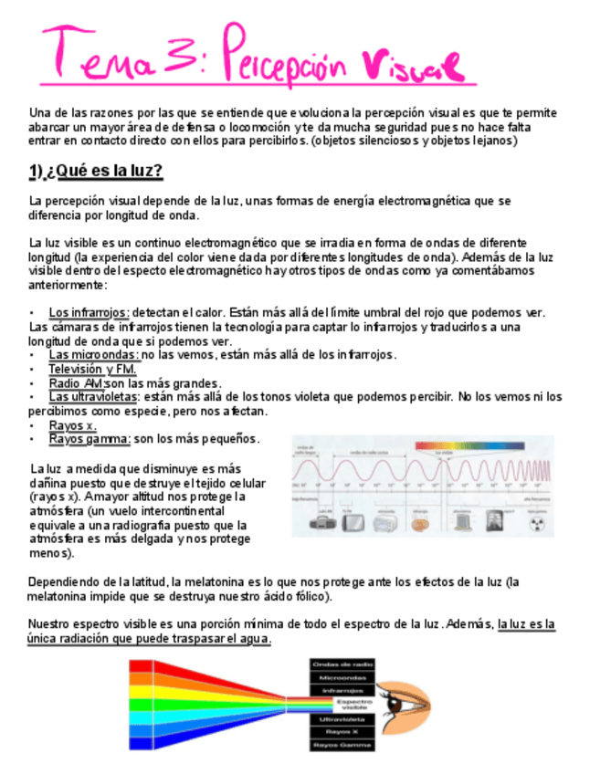 Miniatura del documento T.3-Percepcion-visual-corregido-por-Bea.pdf