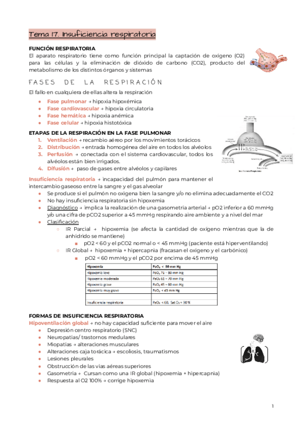 Miniatura del documento Tema-17.-Insuficiencia-respiratoria.pdf