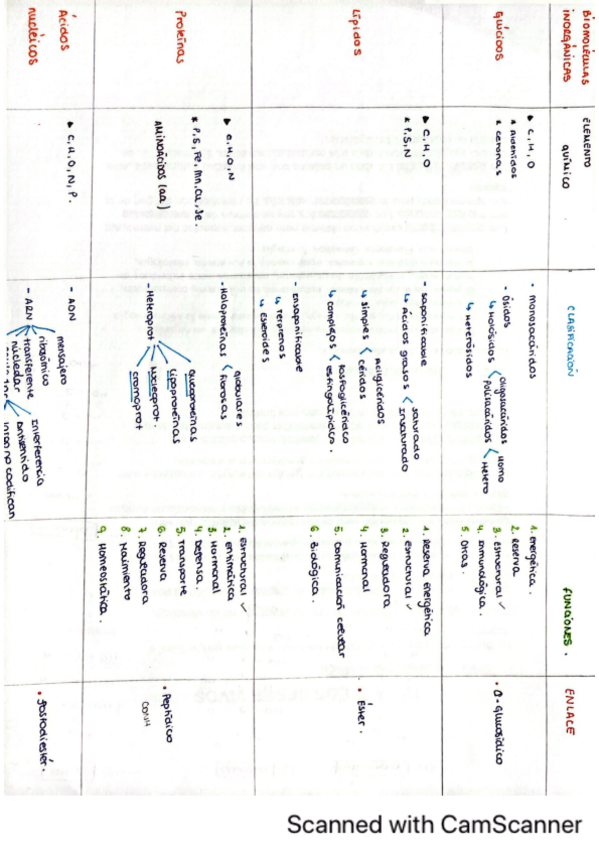 Miniatura del documento Resumen-parcial-1.pdf