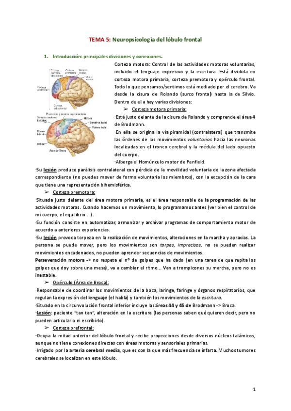 Miniatura del documento TEMA-5-Neuropsicologia-del-lobulo-frontal.pdf