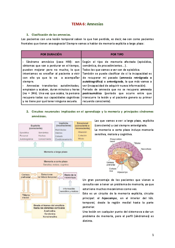 Miniatura del documento TEMA-6-Amnesias.pdf