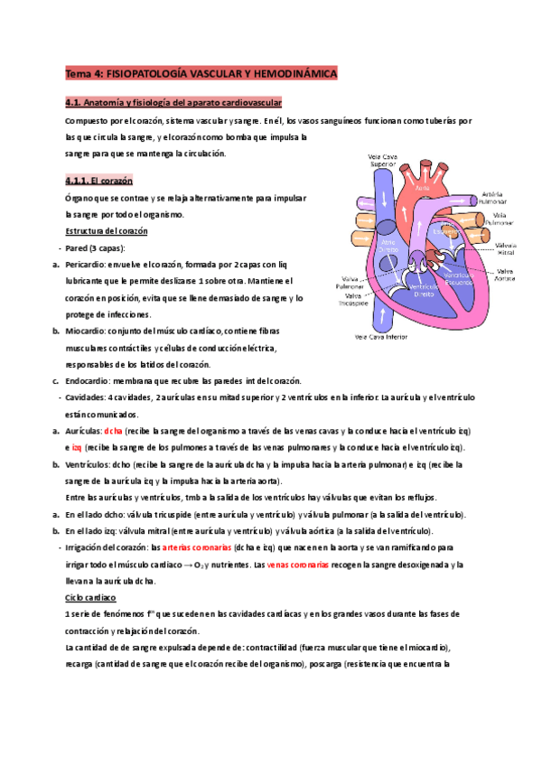 Miniatura del documento T.4-Fisiopatología (aparato cardiovascular).pdf