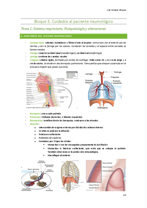 Miniatura del documento Bloque-3.-Paciente-neumologico.pdf