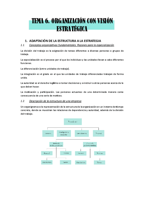 Miniatura del documento TEMA-6.-organizacion-con-vision.-internacionalizacion.pdf