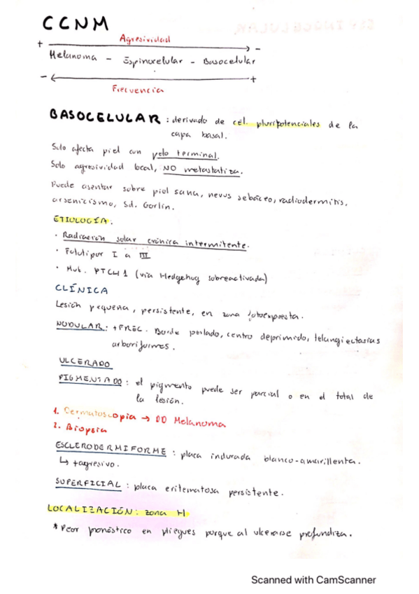Miniatura del documento CCNM.pdf
