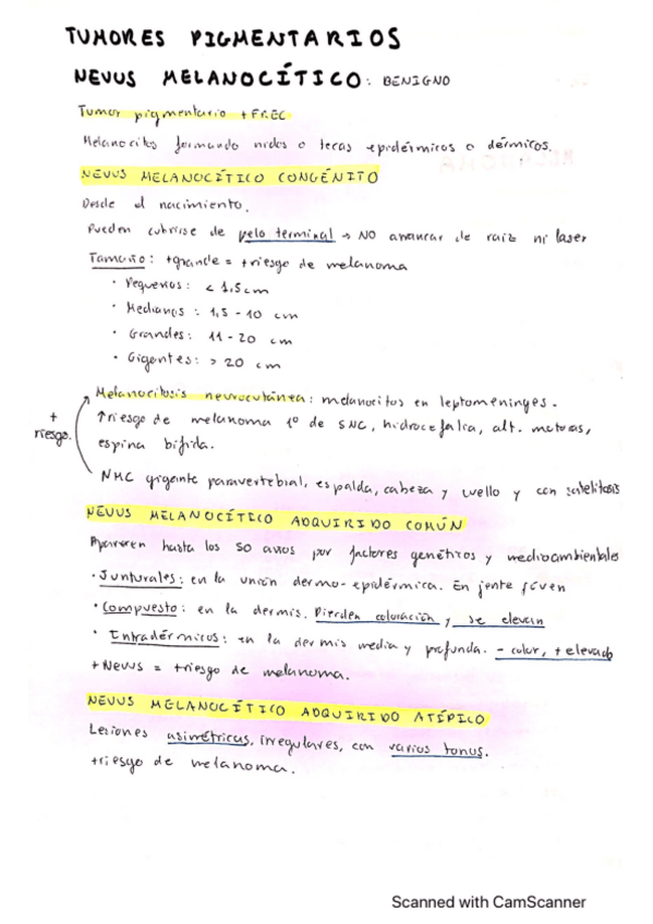 Miniatura del documento Tumores-pigmentarios.pdf