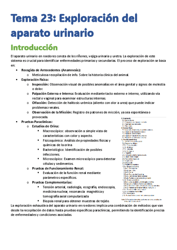 Miniatura del documento TEMAS-CARLOS-CESAR.pdf