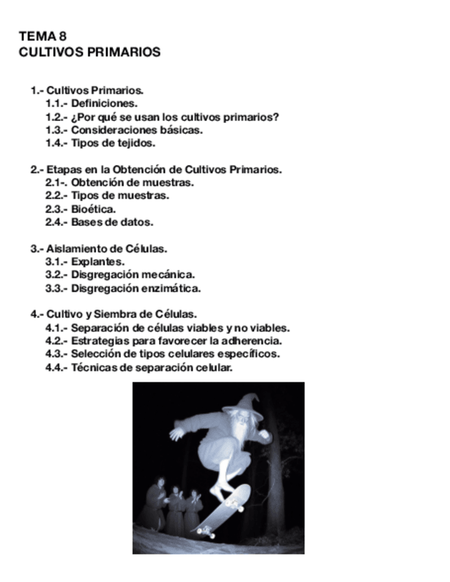 Miniatura del documento Tema-8-CULT.pdf