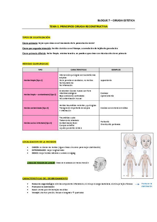 Miniatura del documento resumen-PLASTICA-PDT.pdf