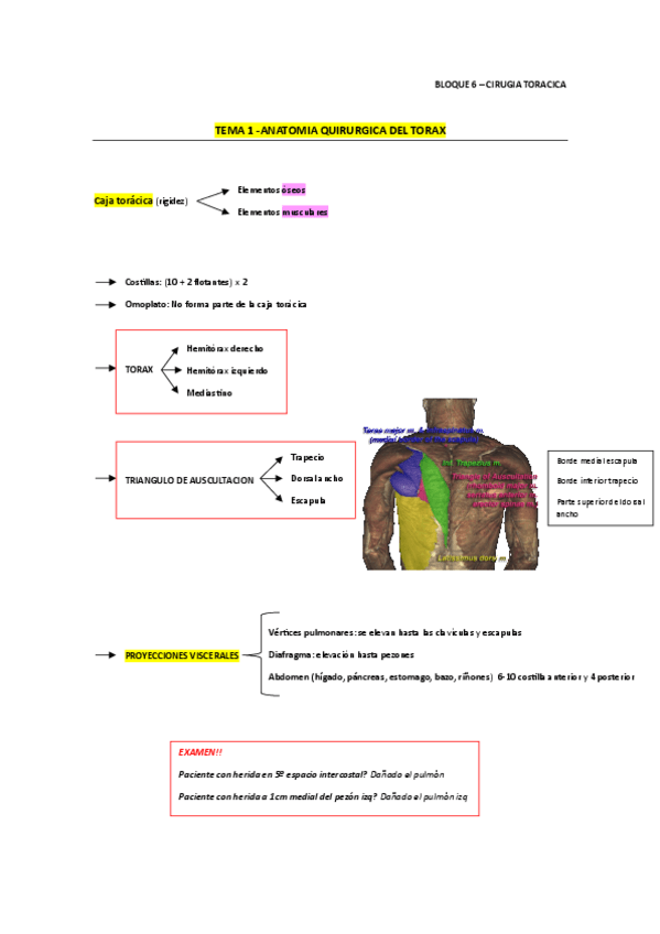Miniatura del documento resumen-CTO-PDT.pdf