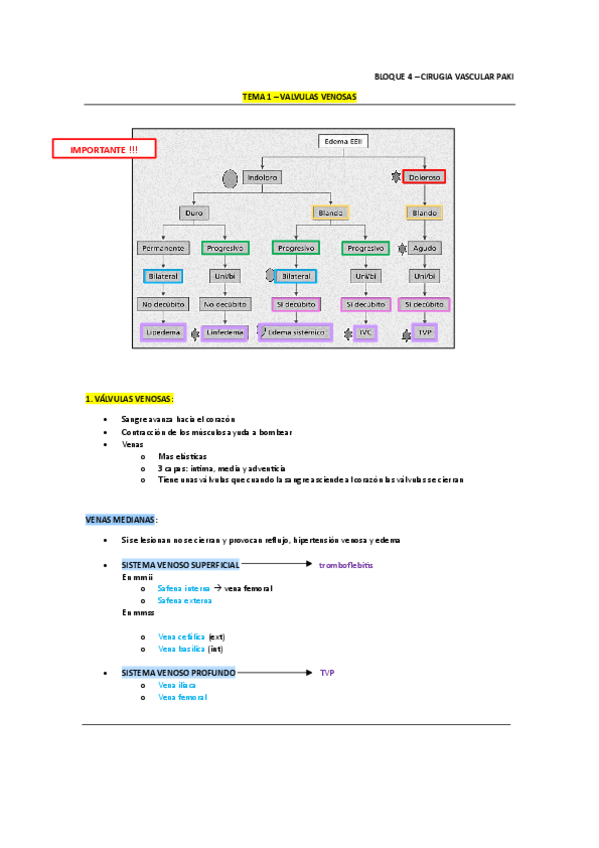 Miniatura del documento resumen-CVA-PDT.pdf