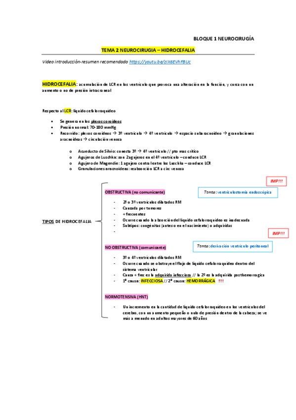 Miniatura del documento resumen-NEURO-PDT.pdf